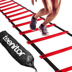 Teenitor Agility Ladder Speed Ladder Training Ladder for Soccer, Speed, Football Fitness Feet Training Carry Bag Agility Training Equipment