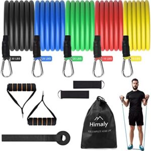 Exercise Bands Resistance Bands Set Strength Training Fitness Bands Workout Bands Resistance Elastic Bands for Exercise