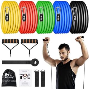 Resistance Bands Set (12pcs), Workout Bands with Handles, Door Anchor, Ankle Straps and Carry Bag, Exercise Bands for Shape Body and Home Workouts