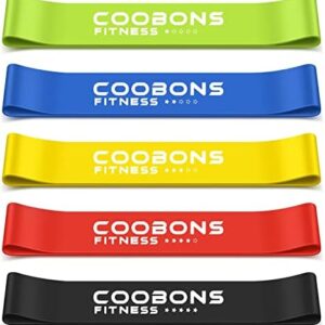 Resistance Bands for Working Out, Women & Men Exercise Bands Set, with Carry Bag, Instruction Guide, for Whole-Body Fitness, Booty, Leg, Arm, Stretching, Physical Therapy, Strength Training - Set of 5