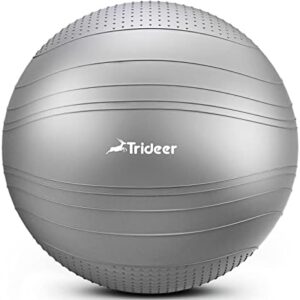 Trideer Exercise Ball Stability Ball - Non-Slip Bumps & Lines Yoga Ball, Anti-Burst Swiss Ball for Fitness, Balance, Gym and Physical Therapy, Home Workout Equipment or Office Ball Chair