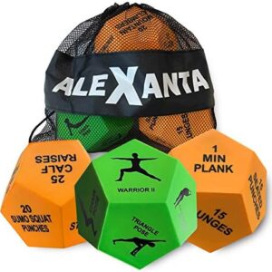 Alexanta Exercise Dice - Workout Gear for Home Gym, Fitness Gifts, Workout Dice for Exercise, Exercise Dice for Home Workouts, PE Equipment, HIIT Workout, Fitness Dice with Mesh Bag & Illustrations