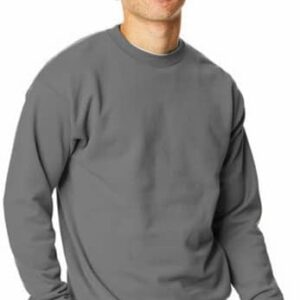 Hanes Men's EcoSmart Sweatshirt