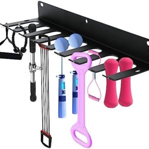 Home Gym Storage Rack - Heavy-duty 9 Hook Fitness Equipment Storage And Organization Workout Gear Wall Mount Hanger, Home Gym Accessories For Barbell, Kettlebells, Gym Bands, Ropes, Chains, Dumbbells