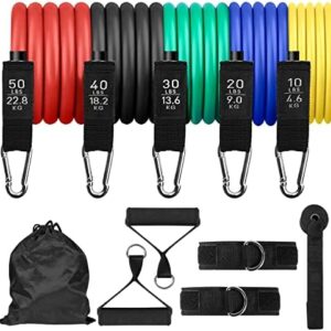 Resistance Bands Set, Exercise Bands with Handles, Fitness Bands, Workout Bands with Door Anchor and Ankle Straps, for Heavy Resistance Training, Physical Therapy, Shape Body, Yoga, Home Workout Set