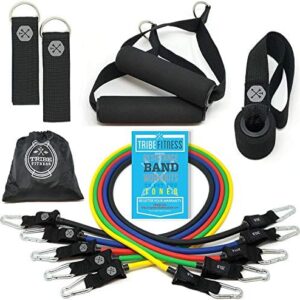 Resistance Bands Set for Men, Women, Exercise & Workout. Fitness Bands for Leg & Bicep Work. Workout Bands for Working Out. Stretch Bands for Physical Therapy. Strength Bands. Elastic Weight Training.