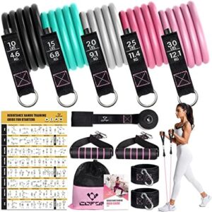 Resistance Bands with Handles for Women, 5 Level Exercise Bands Workout Bands for Physical Therapy, Yoga, Pilates, Door Anchor, Storage Pouch