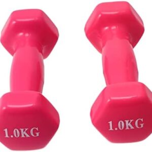 VANZACK 2pcs Home Fitness Equipment Hand Barbell Weight Dumbbell Set Pink Man Set Round Plastic Fitness Dumbbell