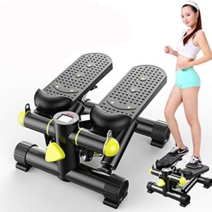 BIU Up and Down Stepping Machine, Fat Burning Thin Waist and Thin Legs Weight Loss Climbing Machine, Multifunctional Mini Silent Home Fitness Equipment