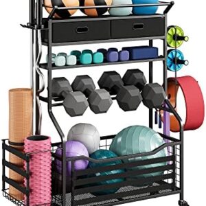 GAOMON Gym Equipment for Home, Fitness Equipment for Home Gym Workout, Home Fitness Storage Rack, Dumbbell Storage Racks