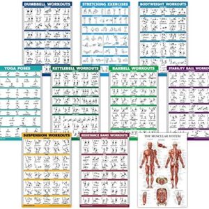 QuickFit 10 Pack - Exercise Workout Poster Set - Dumbbell, Suspension, Kettlebell, Resistance Bands, Stretching, Bodyweight, Barbell, Yoga Poses, Exercise Ball, Muscular System Chart - (18" x 27")