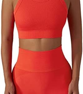 Workout Sets for Women 2 Piece Seamless Ribbed Tank Top Sport Bra High Waist Biker Shorts GYM Yoga Exercise Outfits