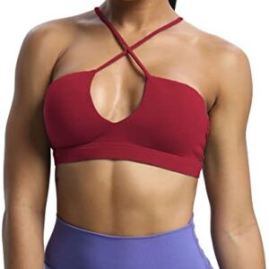 Aoxjox Women's Workout Sports Bras Jamie Deep V Fitness Backless Padded Training Gym Bra Yoga Crop Tank Top