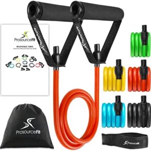 ProsourceFit Premium Heavy Duty Double Dipped Latex Stackable Resistance Band with Door Anchor and Exercise Chart