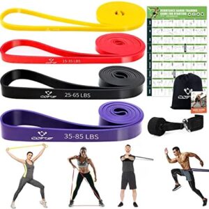 Pull Up Resistance Bands for Women, Thicken Pull Up Assistance Exercise Bands with Training Poster, Resistance Bands for Working Out, Stretching, Powerlifting and Physical Therapy(Home Gym)