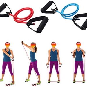 WSERE 2 Pieces Workout Exercise Resistance Bands with Handles for Women Men Home Fitness, Strength Training, Muscle Toning, Physical Therapy, Blue & Red